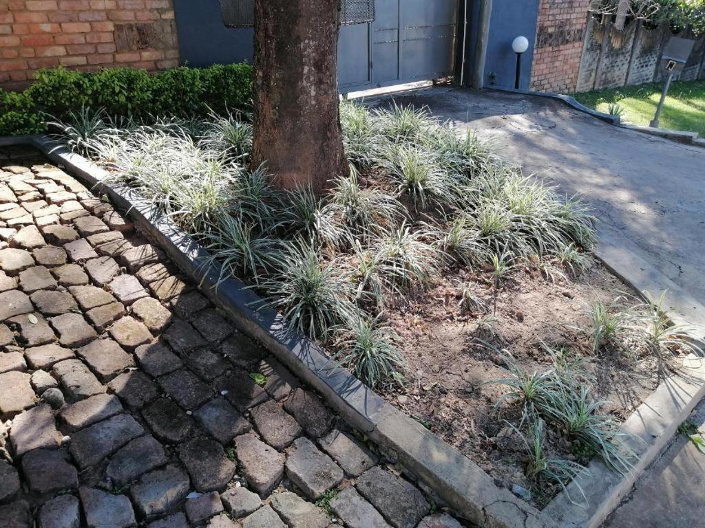 Kaste Guesthouse Tzaneen Exterior photo
